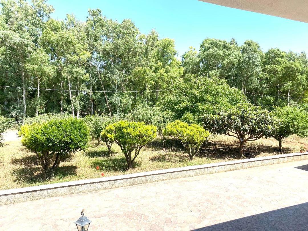 Villa Pedrosu Casa Linari Exterior foto